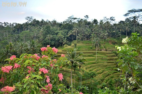 Real estate project 10 2017